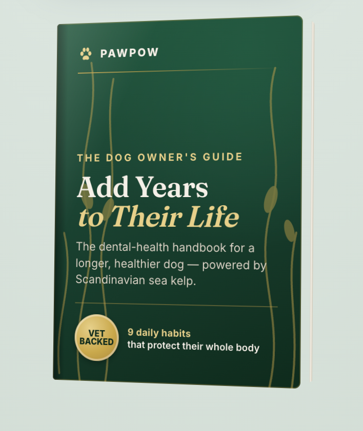 Longevity Secret Book