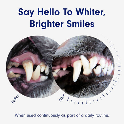 ProBright® Advanced Dog Dental Powder.