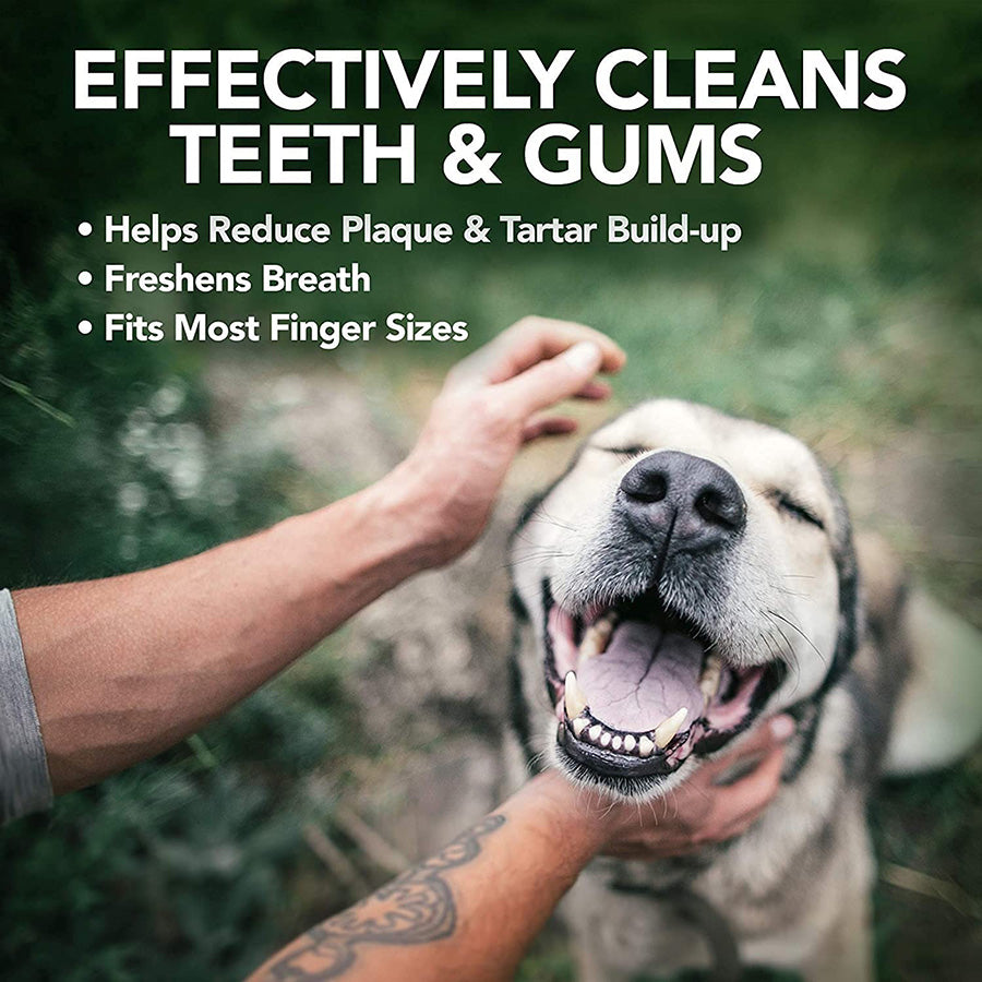 Dental Wipes for Dogs & Cats