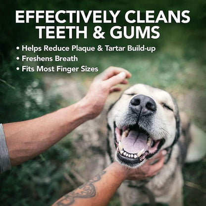 Cat Dental Wipes