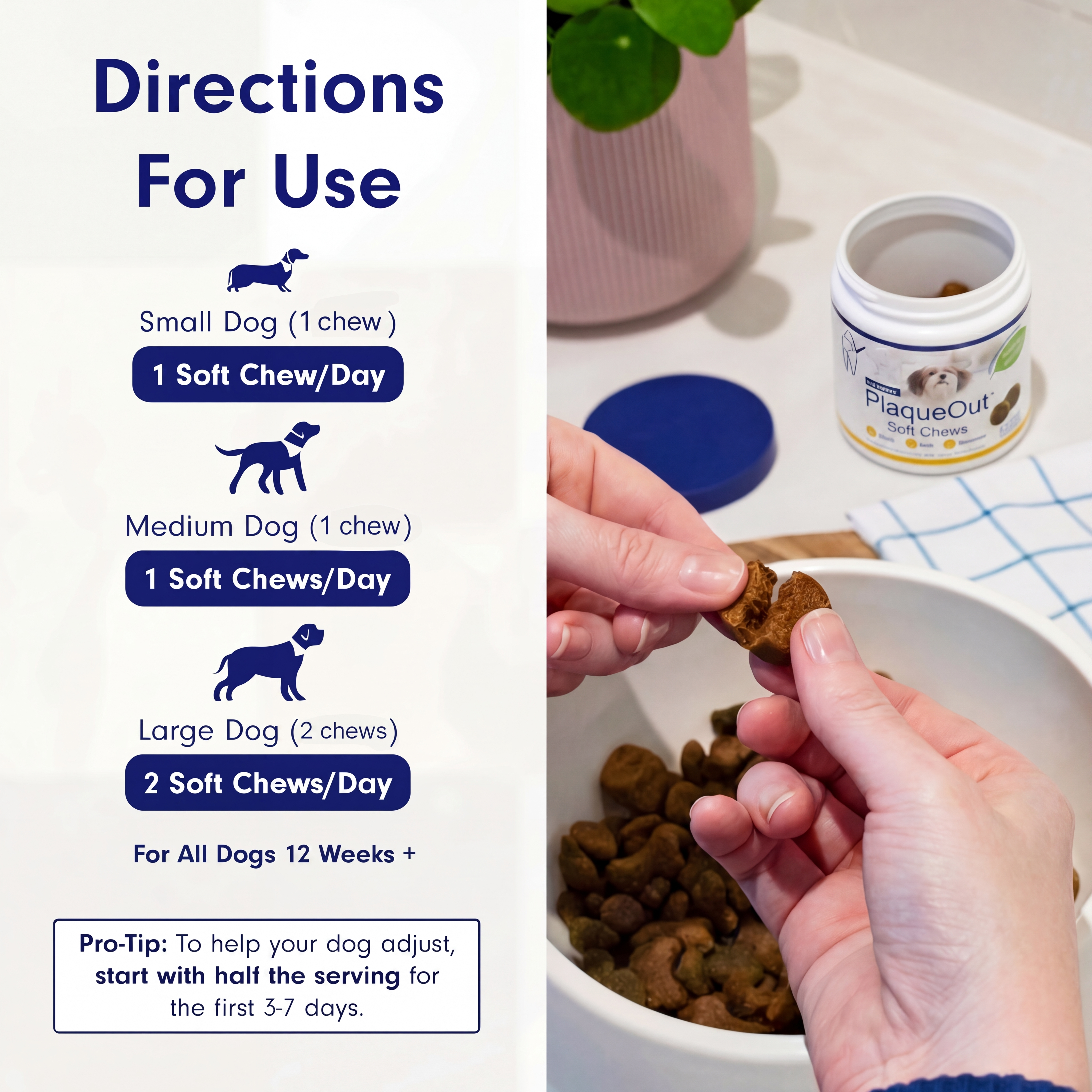 Plaque Out Soft Chews