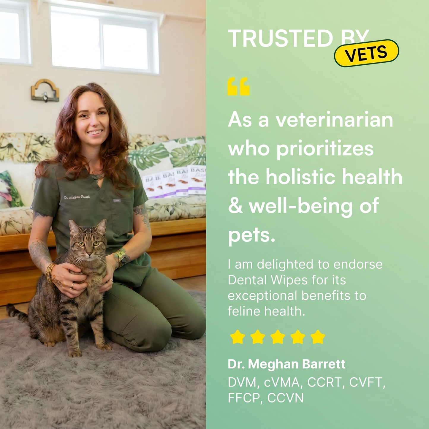Cat Dental Wipes