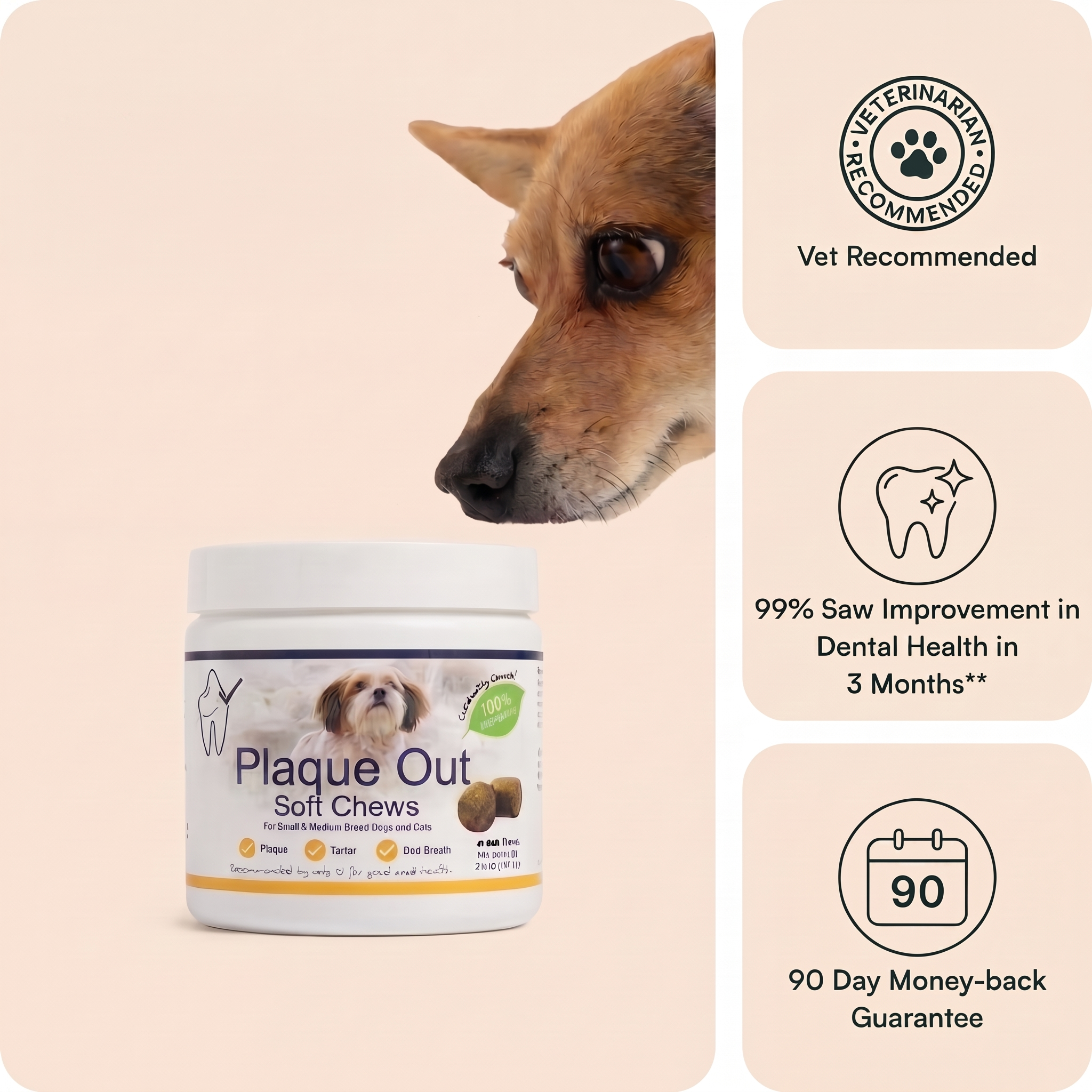 Plaque Out Soft Chews